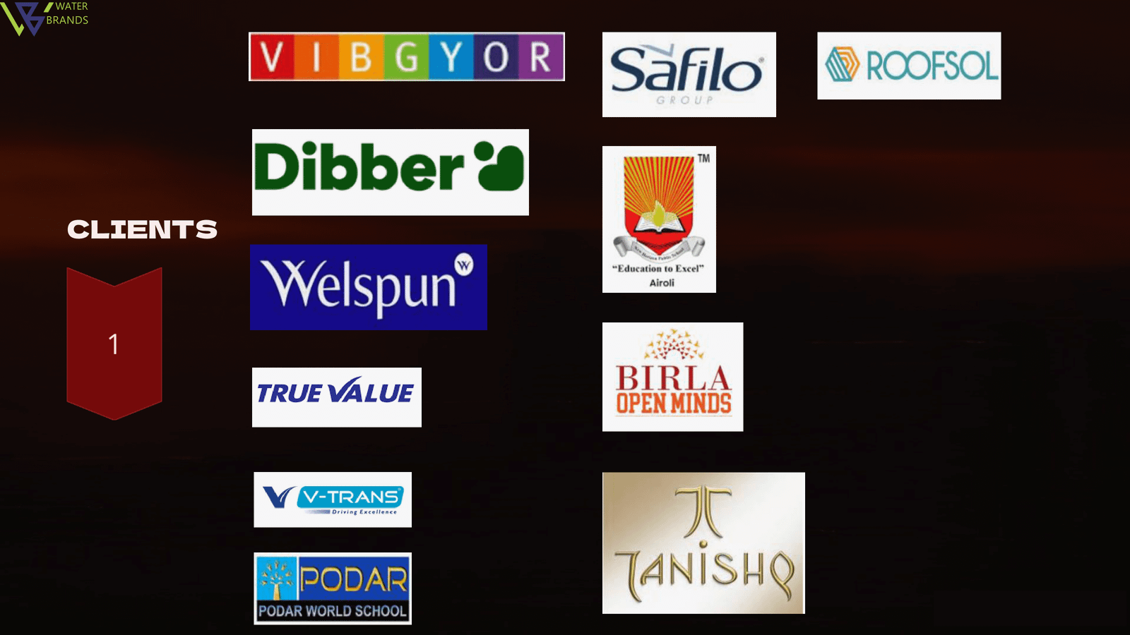The Water Brands